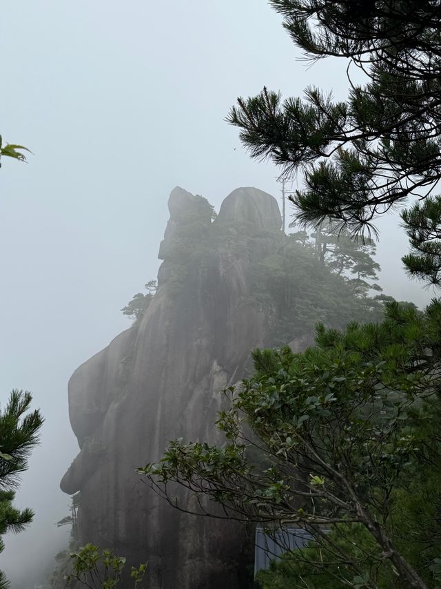 三清山一日遊攻略｜12小時征服雲海仙境
