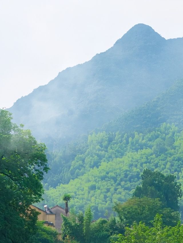 桐廬48小時避暑記：闖入26℃嘅富春江清涼結界