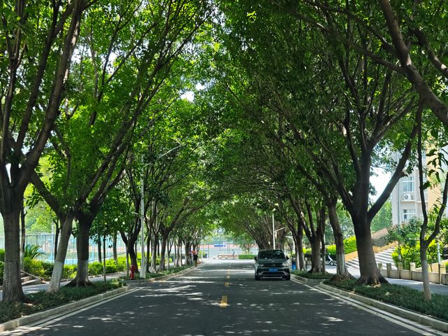 贛州 | 一座被低估嘅寶藏城市