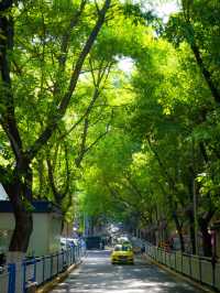 重慶丨春森路city walk||重慶折疊的舊夢切片