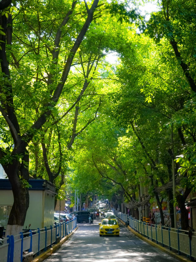 重慶丨春森路city walk||重慶折疊的舊夢切片