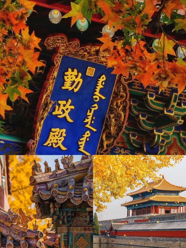 帶長輩遊北京？呢份「唔使行到腳軟」攻略，老人家玩得仲開心過你