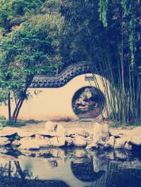 京城秘境｜紫竹院公園：鬧市中的禪意綠洲