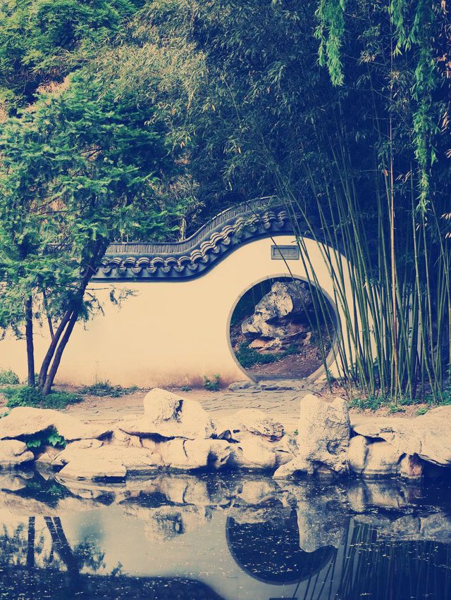 京城秘境｜紫竹院公園：鬧市中的禪意綠洲