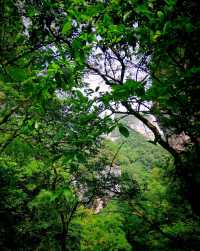 登臨雲台天路·施秉雲台山