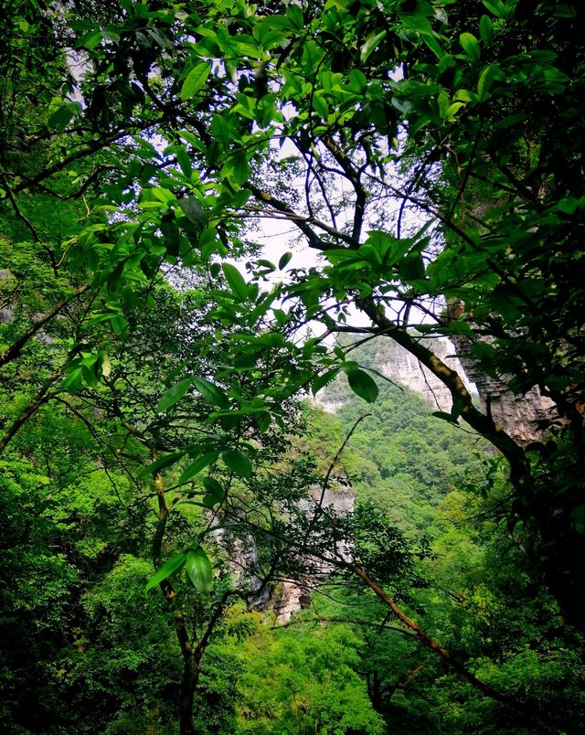 登臨雲台天路·施秉雲台山