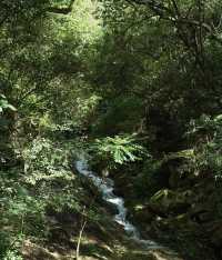 總要去趟福州鼓山吧 睇場超震撼嘅日落