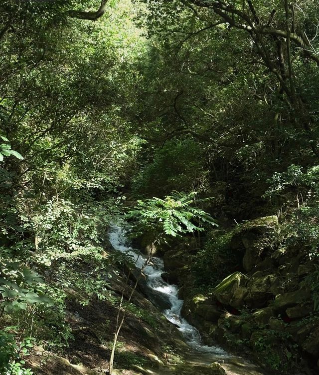 總要去趟福州鼓山吧 睇場超震撼嘅日落