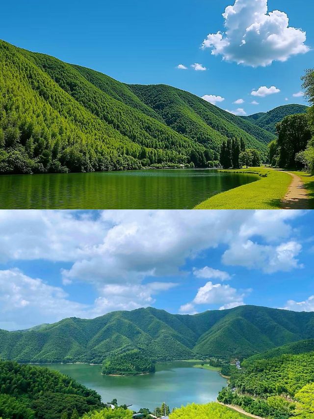 安吉雲上草原2天1夜！竹林雲海+仙境度假全攻略