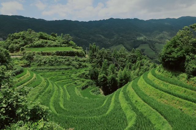 你們知道這是哪裡嘛？柳州呀……