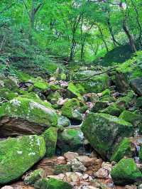 東北小黃山絕了