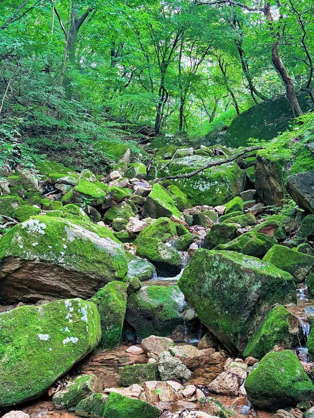 東北小黃山絕了
