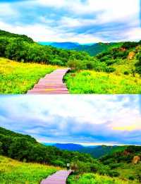 逃離40℃熱浪！21℃的天然氧吧+星空露營，這個避暑秘境美到窒息   寶貝們！當城市被烤成“蒸
