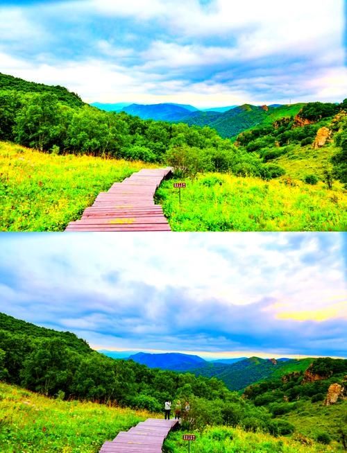 逃離40℃熱浪！21℃的天然氧吧+星空露營，這個避暑秘境美到窒息   寶貝們！當城市被烤成“蒸