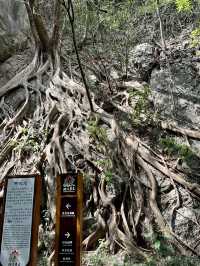 峭壁雄姿——武平獅岩景區