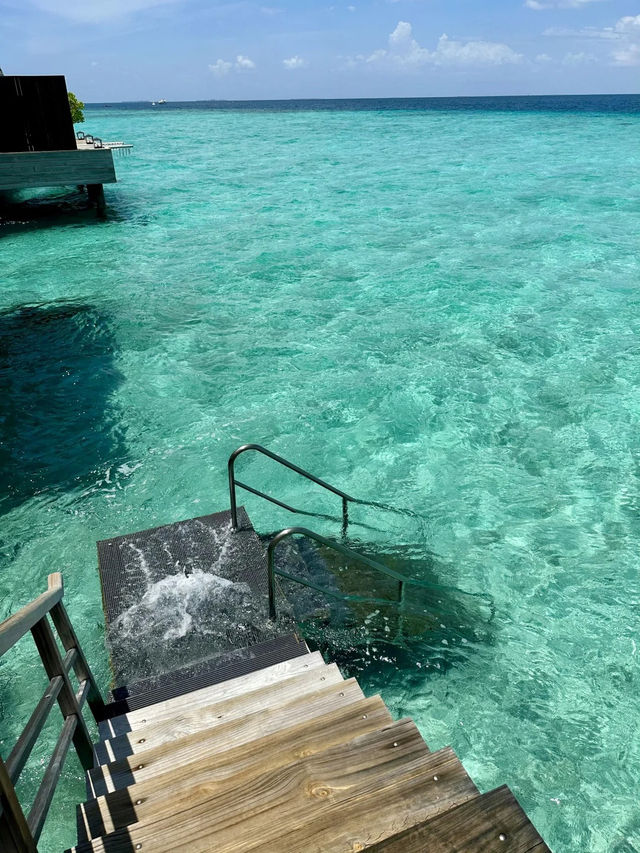 馬爾代夫嬌麗女神島｜隨便拍都係藍天白雲果凍海🌊