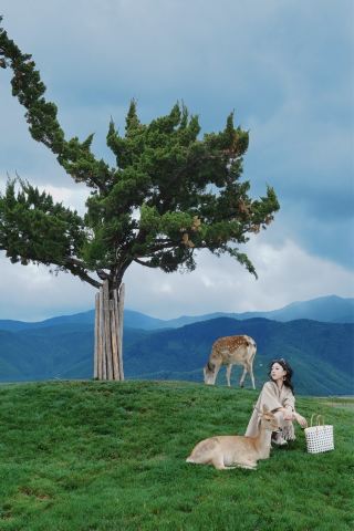 Opening the window reveals a 300-acre private ranch and snow-capped mountains｜Shangri-La Fairyland Hotel Experience