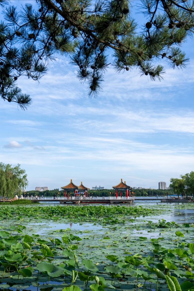 長春歡迎你。