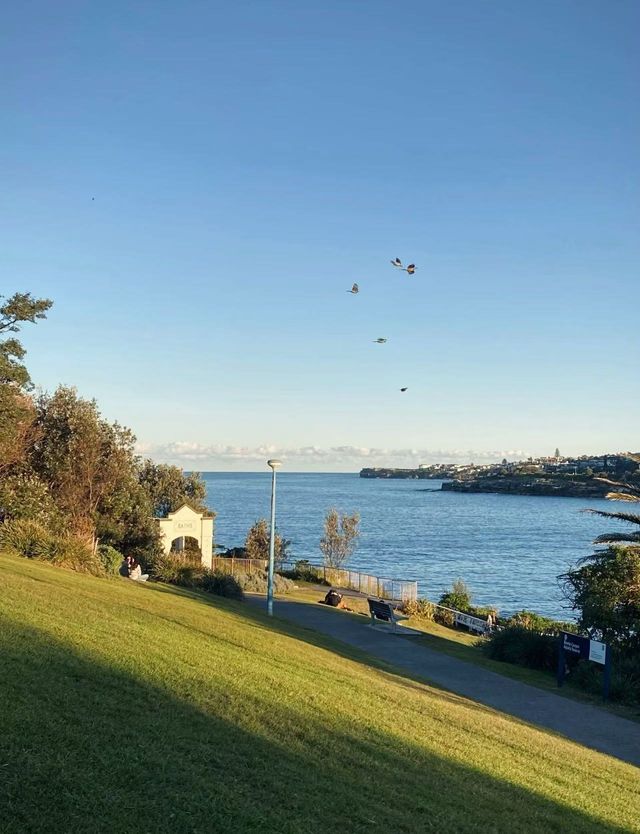 悉尼海灘漫遊：陽光、細沙與浪花的交響詩