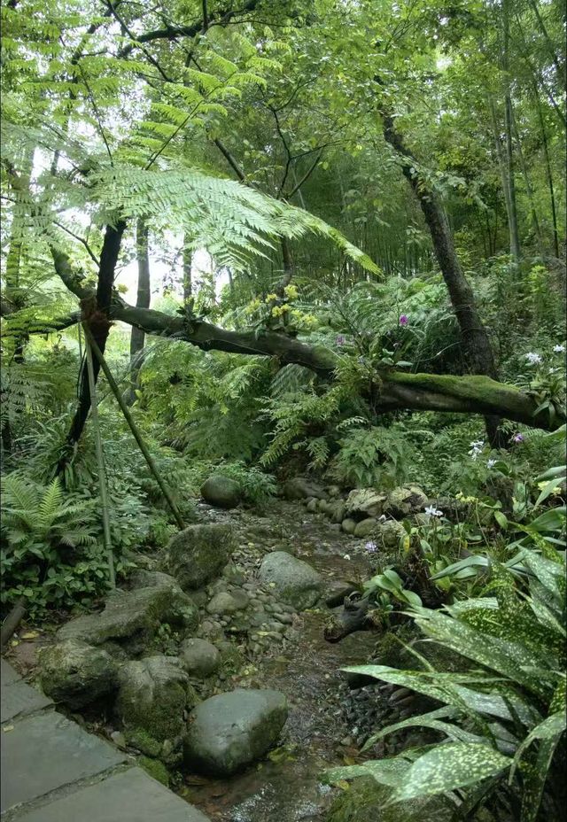 初秋一齊去成都植物園玩啦! 初秋一齊去成都植物園玩啦!