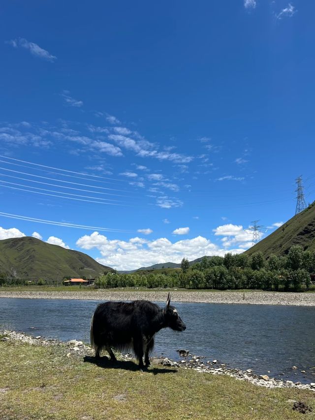 電車自駕雲貴川攻略
