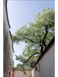 福州人文局｜故居與酒店的滿分搭配