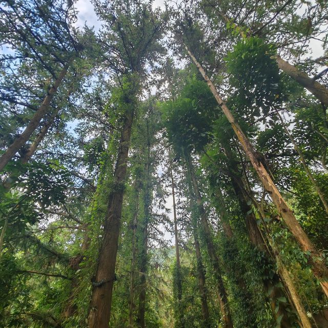 探秘嶺南第一洞天