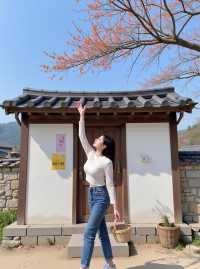 杭州周邊柿子秘境大公開秋日限定福利速來get！