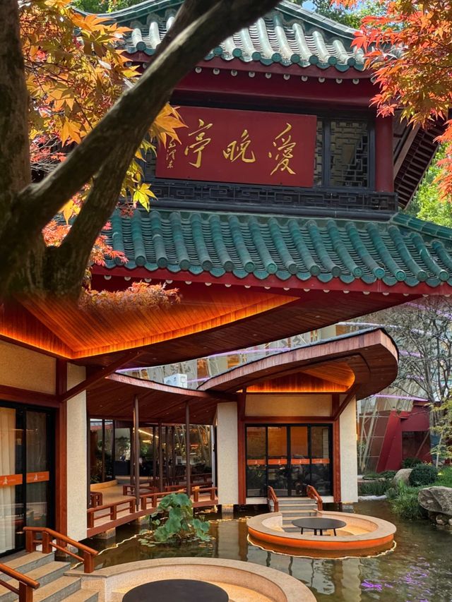 在長沙秋天散步：桂花香裡混著臭豆腐味，絕了！