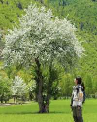 川西小眾雪山秘境｜被造物主偏愛的絕美打卡地