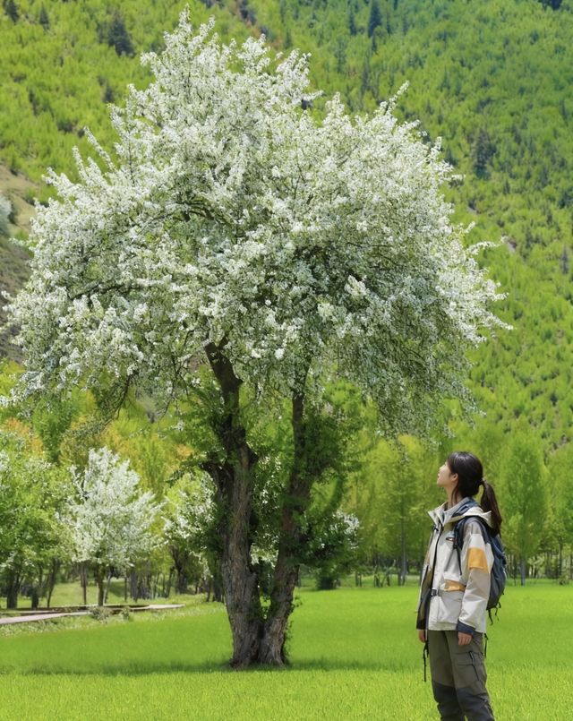 川西小眾雪山秘境｜被造物主偏愛的絕美打卡地