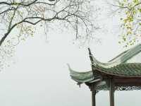 你鏡頭裡的南京秋天，還差這些地方