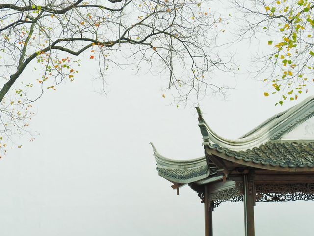 你鏡頭裡的南京秋天，還差這些地方