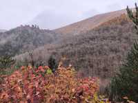 五臺山紅葉觀賞