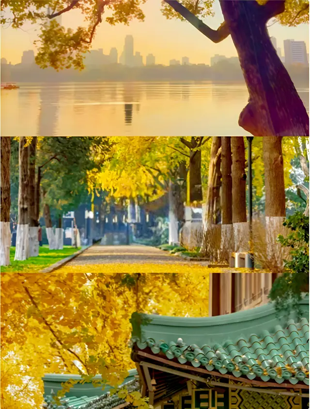 南京最治癒的秋日湖畔