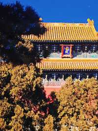 十三陵賞秋避人攻略
