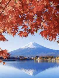 文藝青年的東京暴走指南