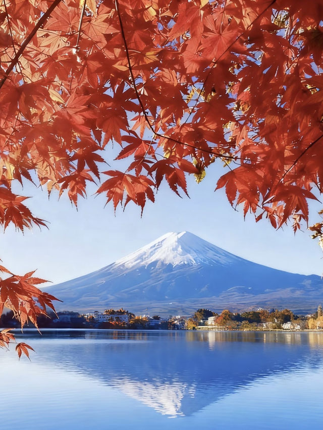文藝青年的東京暴走指南
