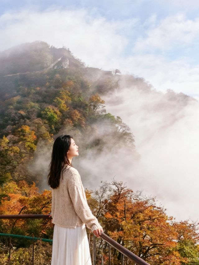 漢中龍頭山賞秋攻略:國家地理冇呃人!這才是川渝人私藏嘅秋日仙境 漢中龍頭山賞秋攻略:國家地理冇呃人!這才是川渝人私藏嘅秋日仙境
