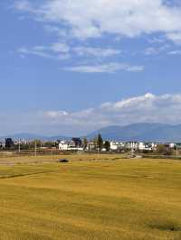 再次嚟到大理喜洲，無意間入住咗呢間民宿，當時覺得個名叫做「青柏」就已經好有寫意嘅感覺，點知入住之後果然唔係咁
