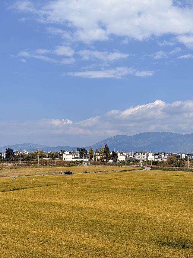 再次嚟到大理喜洲，無意間入住咗呢間民宿，當時覺得個名叫做「青柏」就已經好有寫意嘅感覺，點知入住之後果然唔係咁