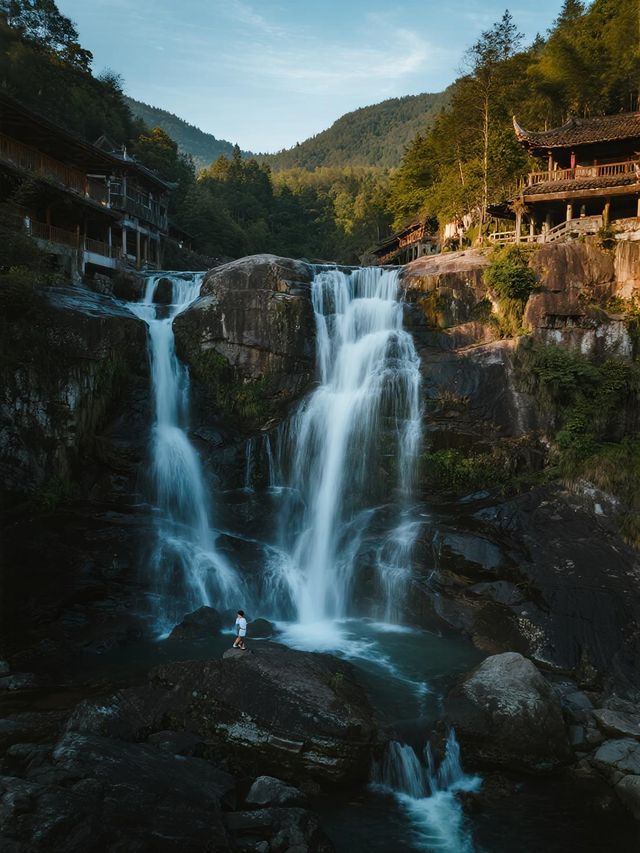 福建親子徒步天花板！漫步千年藤蔓森林，住溫泉別墅賞秋攻略