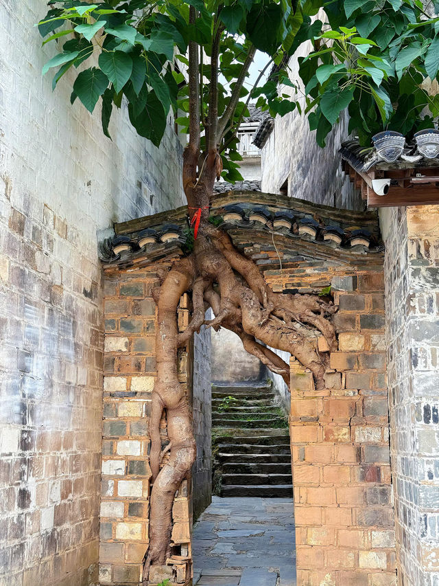 婺源必逛 | 穿越千年的弦高古城