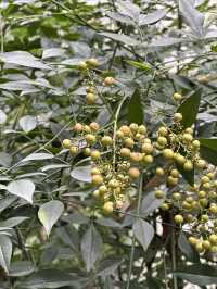 三坊七巷邊上的寶藏酒店！停車免費還超方便