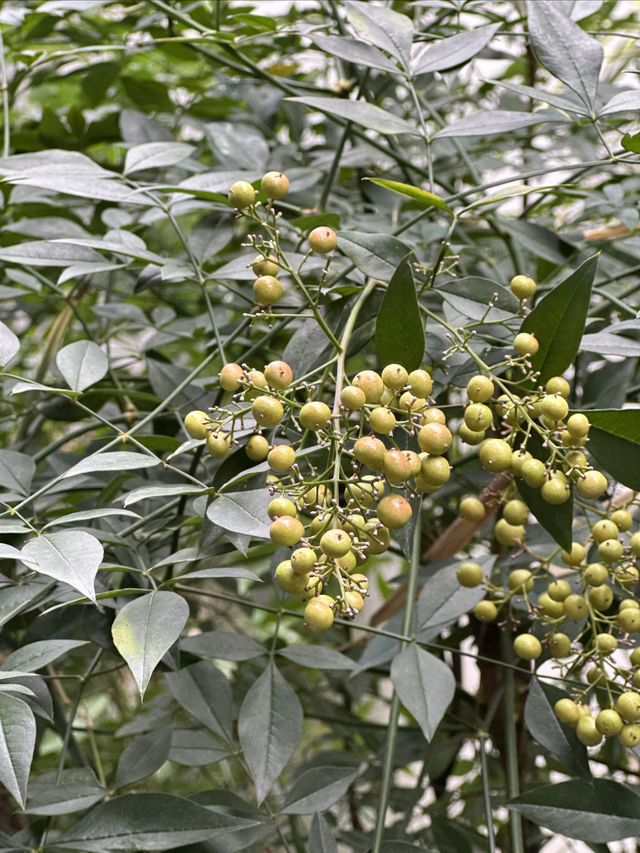 三坊七巷邊上的寶藏酒店！停車免費還超方便