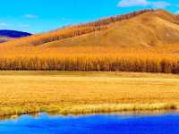 深秋阿爾山騎馬逐浪邂逅大興安嶺最美秋天