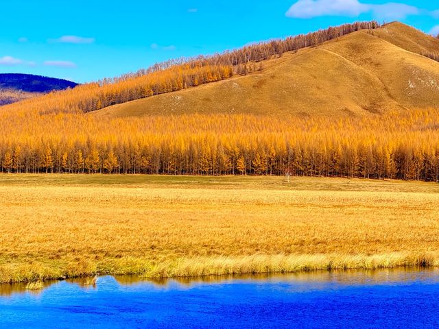 深秋阿爾山騎馬逐浪邂逅大興安嶺最美秋天