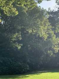 魔都隱蔽寶藏!西郊賓館免費參觀全攻略