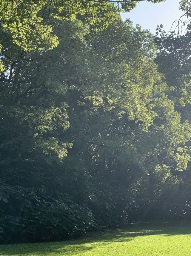 魔都隱蔽寶藏!西郊賓館免費參觀全攻略 魔都隱蔽寶藏!西郊賓館免費參觀全攻略