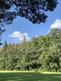 魔都隱蔽寶藏!西郊賓館免費參觀全攻略